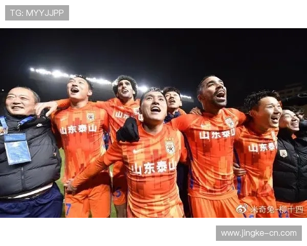 南京排球队与深圳排球队赛后复盘分析灵活性表现与战术调整